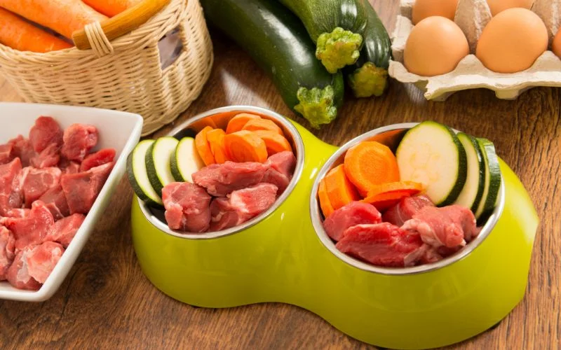 Organic Dog Food